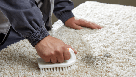 Professional Rug Cleaning Gladstone Park